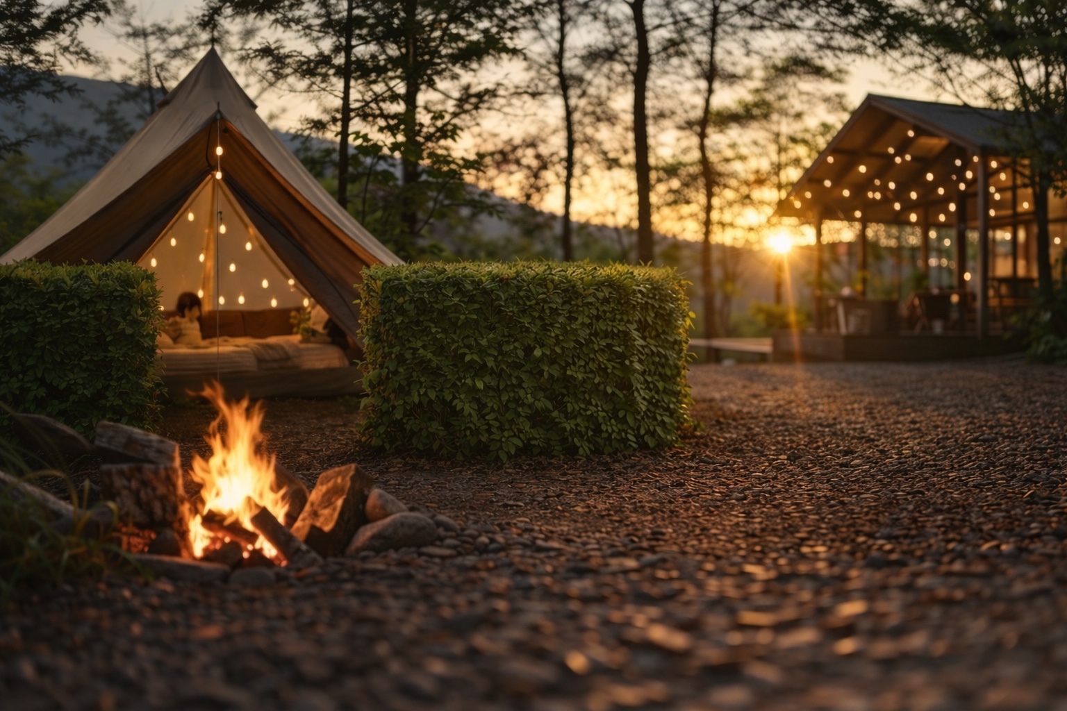 Misty cedar forest approach to a private retreat